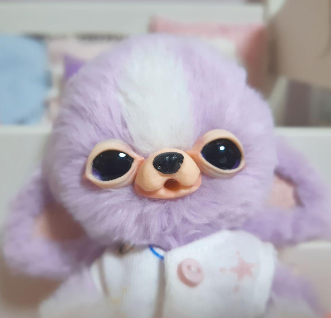 チワボボちゃん colors②　アートドール　ぬいぐるみ