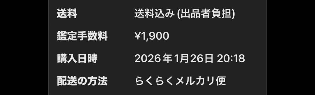 NIKE エアマックスDN8 26.0 未使用
