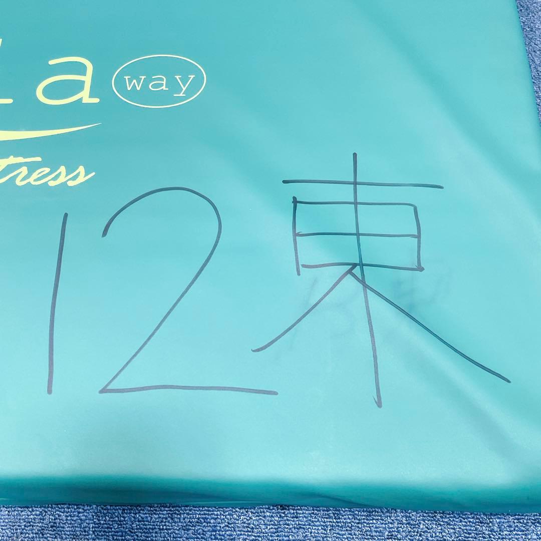 【送料込】molten ソフィアway 介護用マットレス リバーシブル 介護②