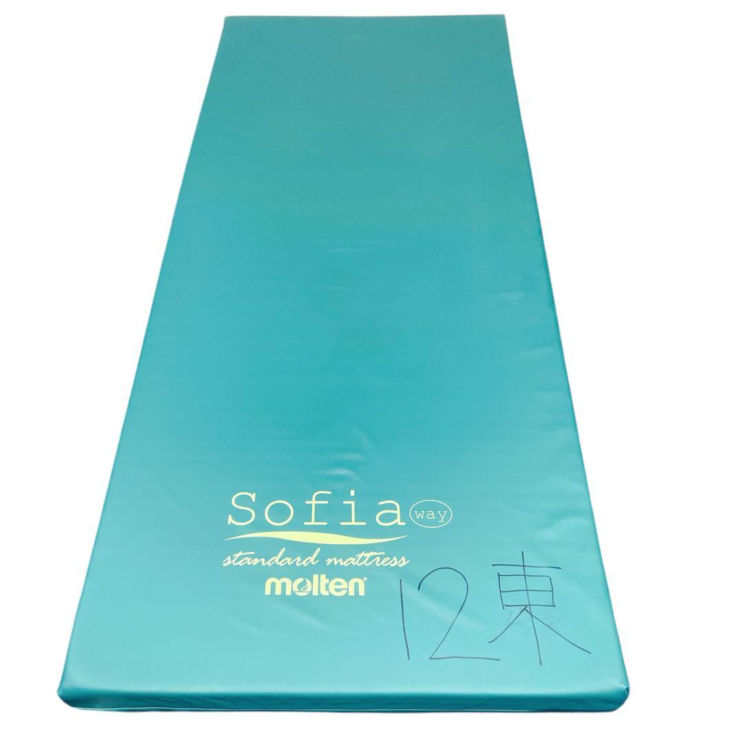【送料込】molten ソフィアway 介護用マットレス リバーシブル 介護②