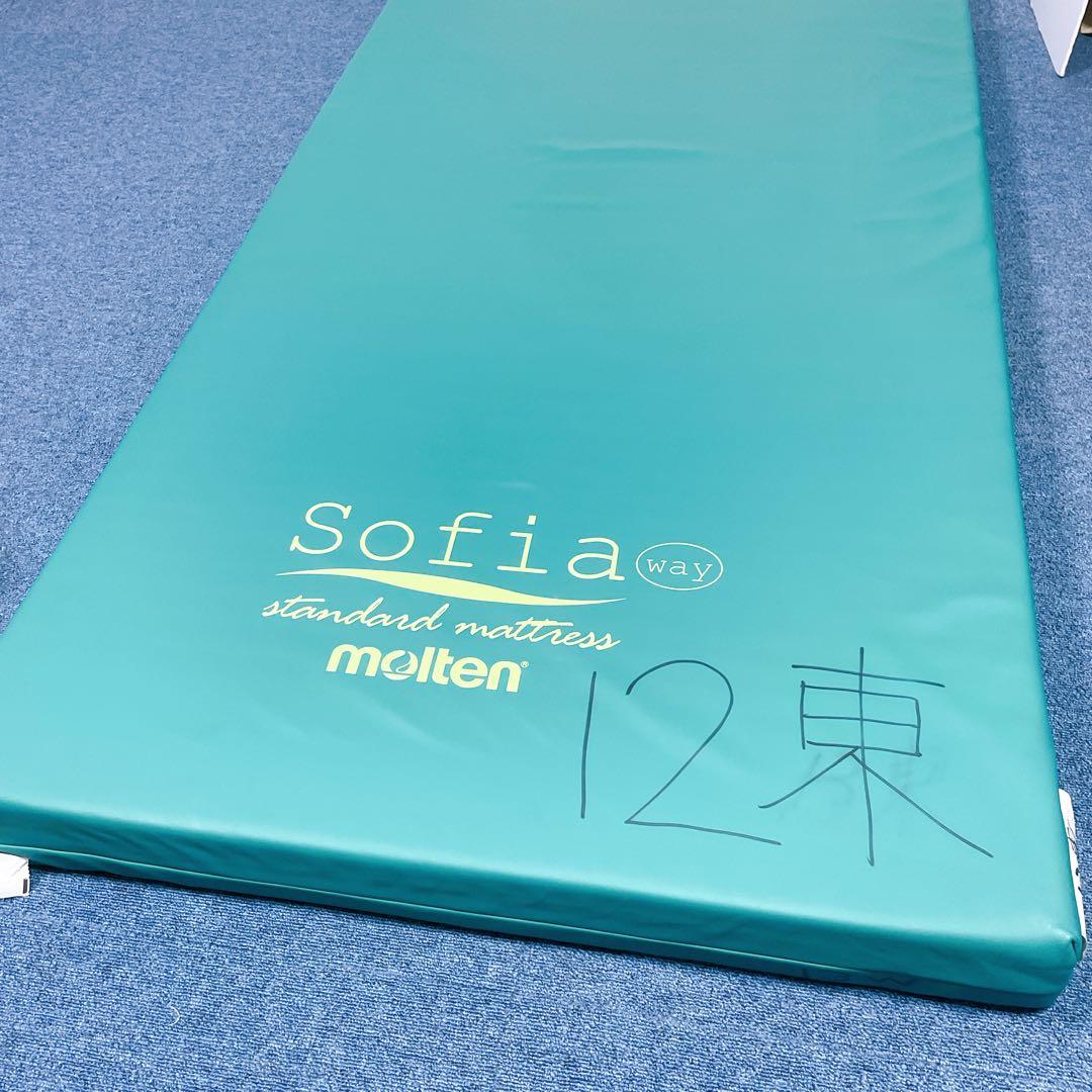 【送料込】molten ソフィアway 介護用マットレス リバーシブル 介護②