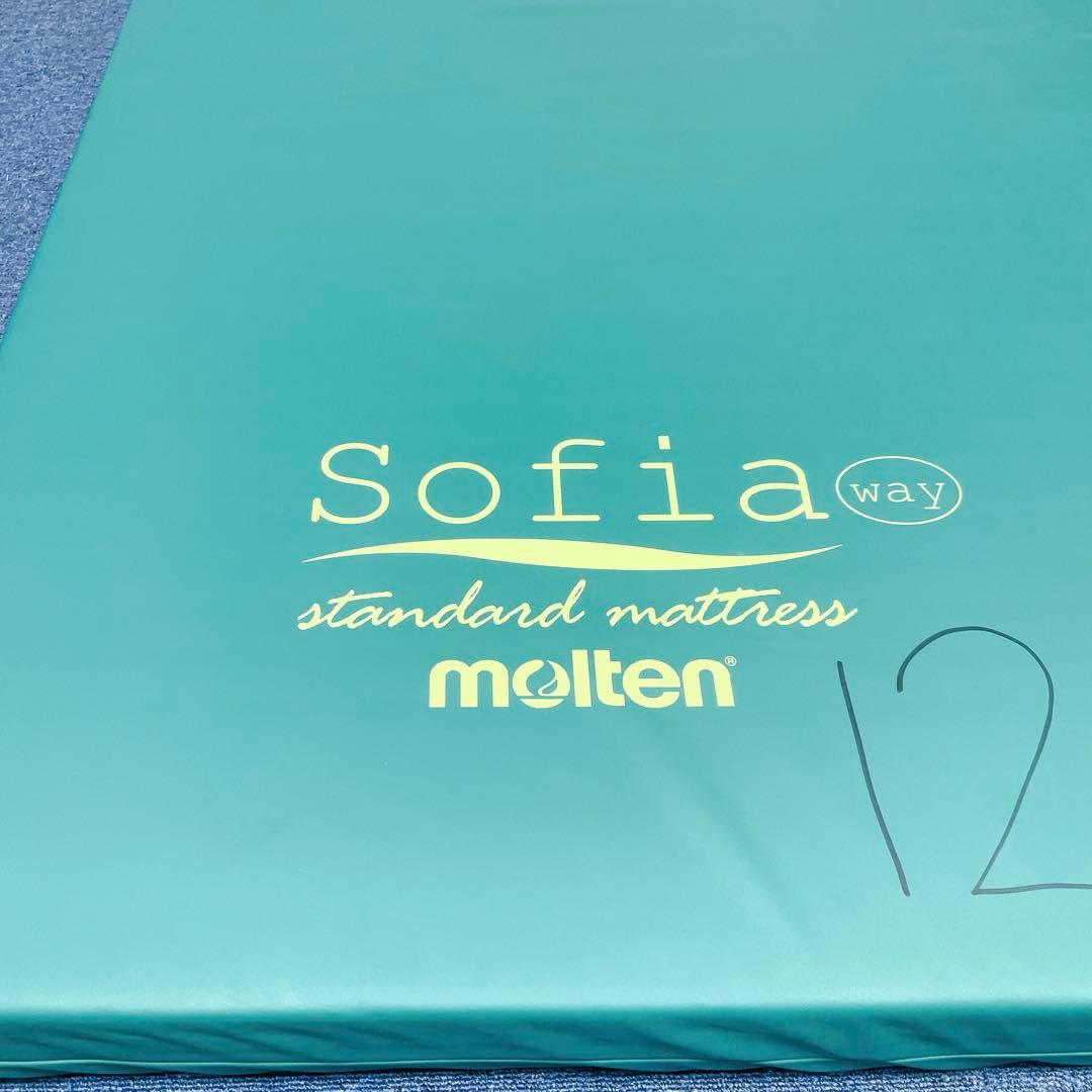 【送料込】molten ソフィアway 介護用マットレス リバーシブル 介護②