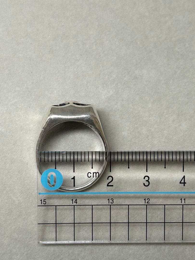 Flash Point ジムスカルリング