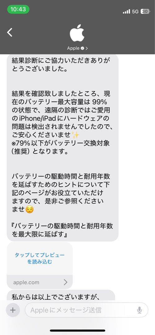 iPad Air 第四世代　スカイブルー　256GB バッテリー最大容量99%