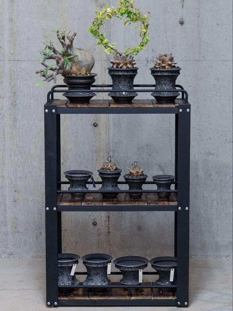 o*.様 男前インテリア　植物棚　棚　収納　国産桧　ディスプレ　多肉植物　アガベ