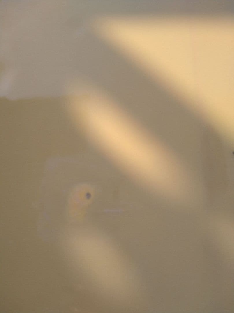 クリステンソン＆ダノー　サーフボード　ロングボード　シングルフィン