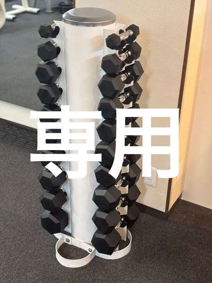 専用！ダンベルタワー　ダンベル1〜10㎏セット