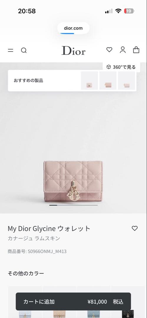 Christian Dior カナージュラムスキン