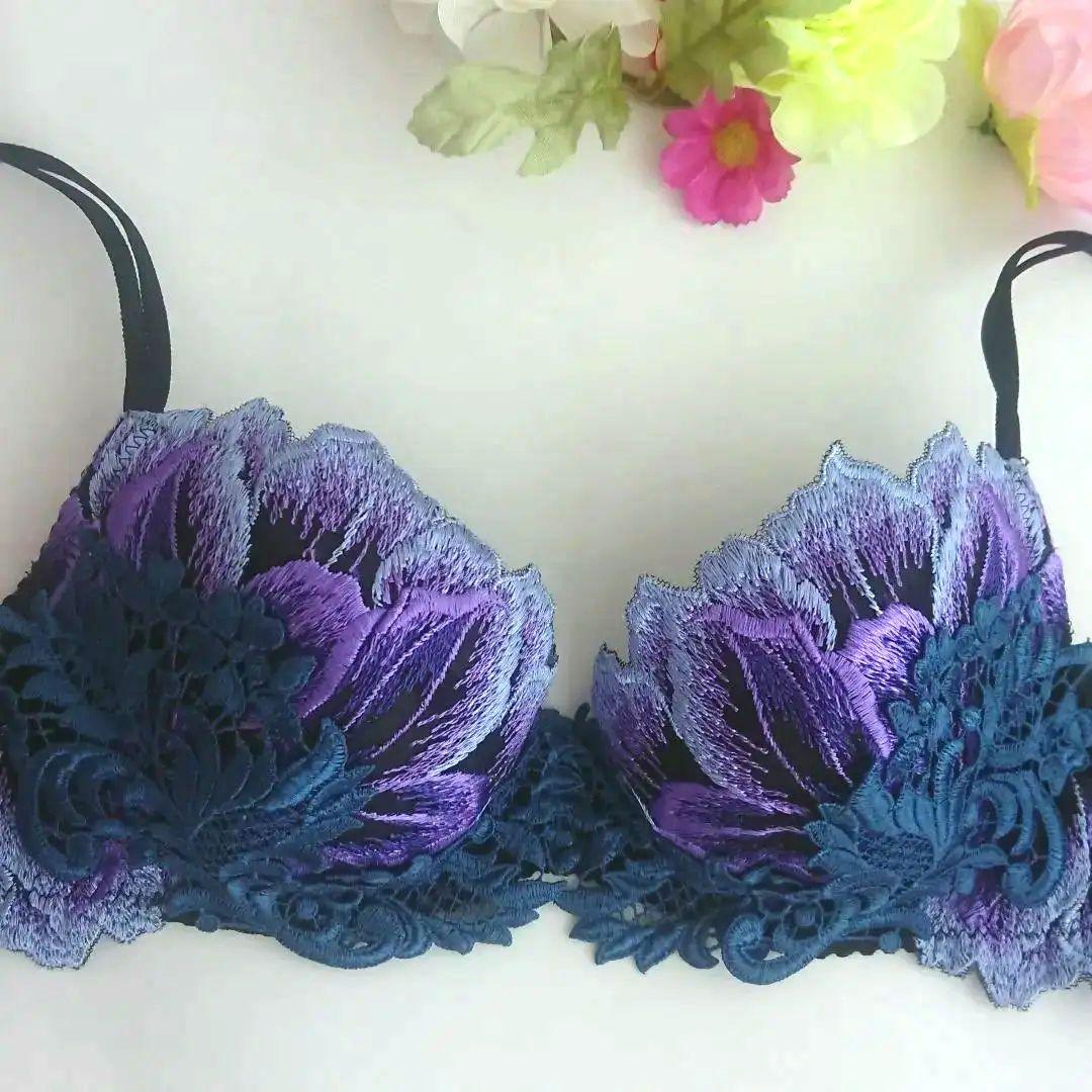 新品☆スタディオファイブ Ｄ７０