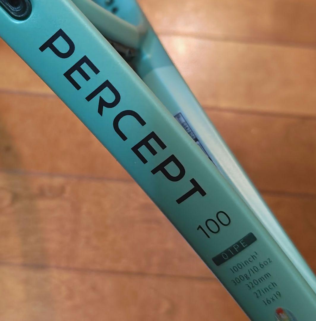 PERCEPT 100 (カスタムフィット) G3