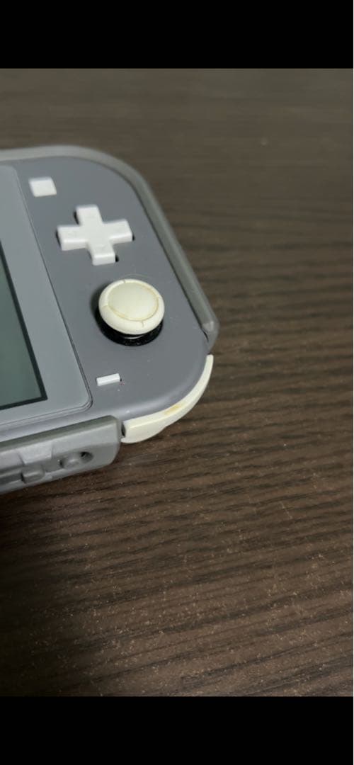 Nintendo Switch Lite グレー 本体 充電器・ケース付き