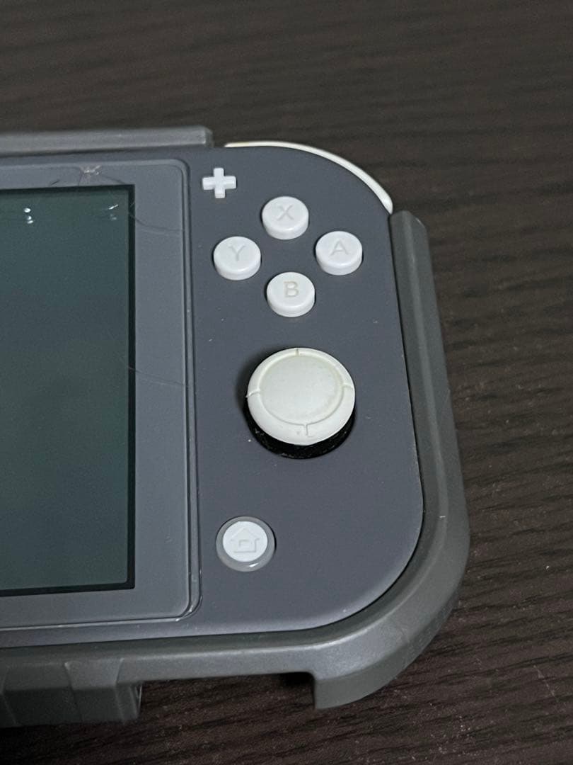 Nintendo Switch Lite グレー 本体 充電器・ケース付き