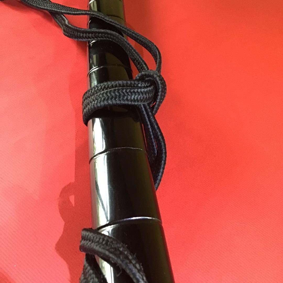 印籠鞘拵　革巻柄　京透鍔　銅地色絵象嵌飛龍目貫　高級居合刀