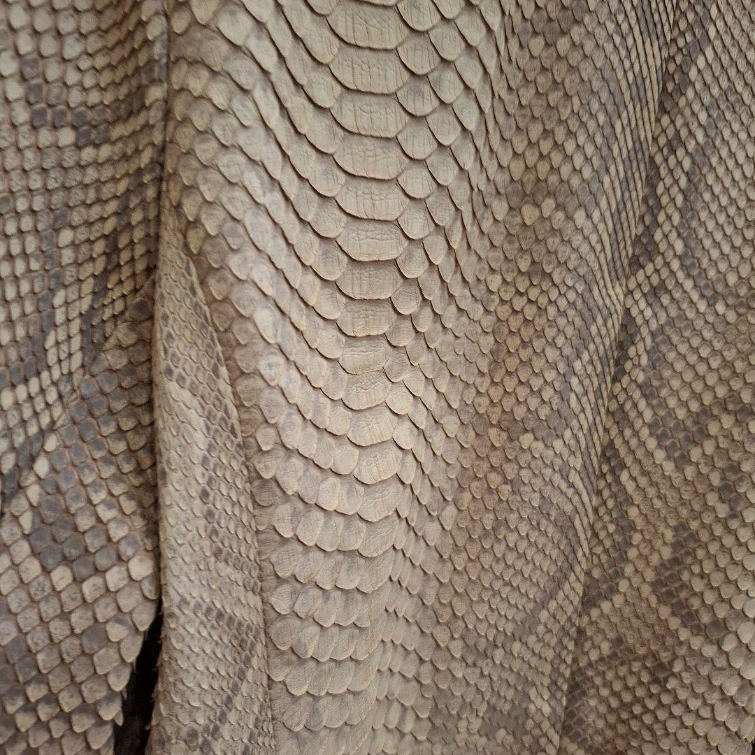 ベージュ パイソン　ヘビ柄 レザージャケット