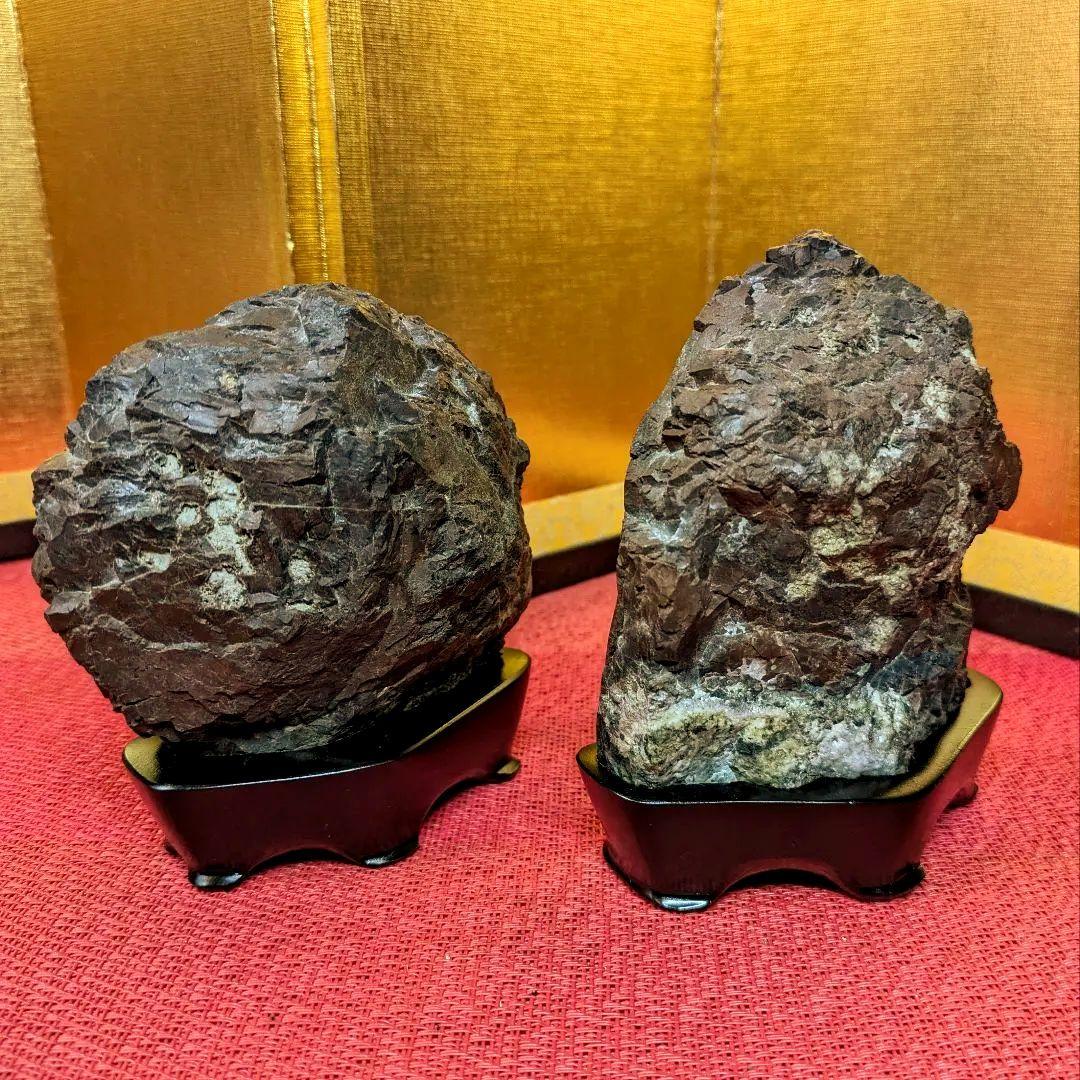 菊花石 岐阜県根尾谷産 双子２石セット 鑑賞石 観賞石 水石 盆石 天然石