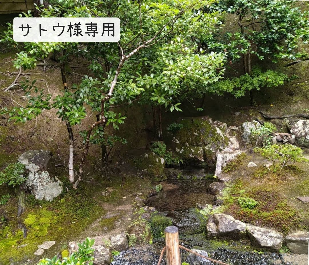 ❇サトウ❇