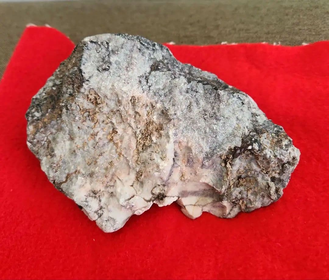 菊花石　岐阜県根尾谷　菊一輪　鑑賞石　天然石