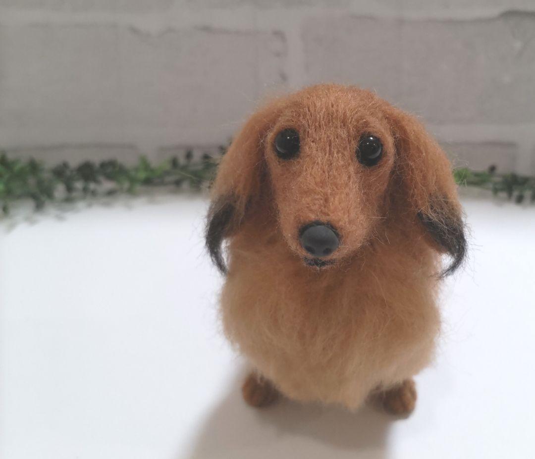 【専用です】ミニチュアダックス♡レッド♡羊毛フェルト☆ハンドメイド