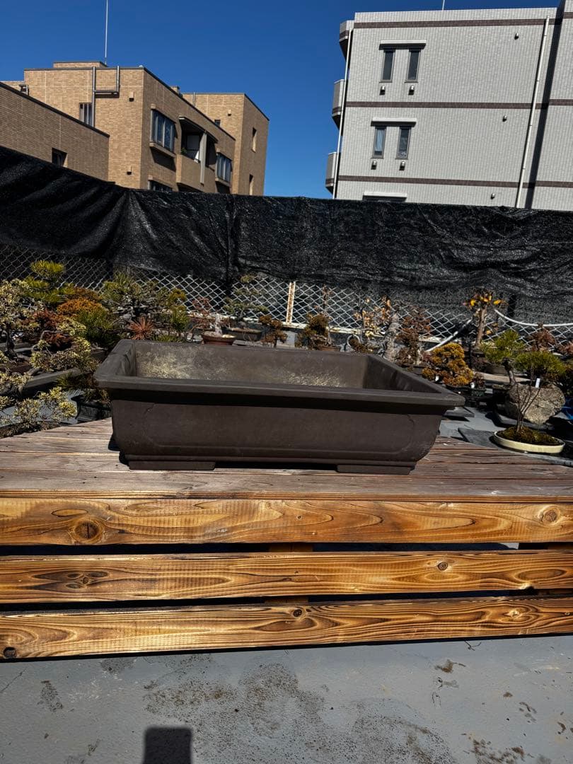 陶器製 盆栽鉢 ダークブラウン 大きめ　22号