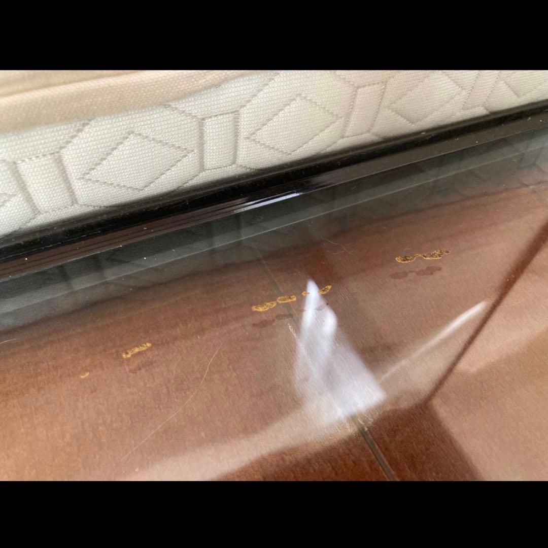 エキゾテラ　グラステラリウム　4530