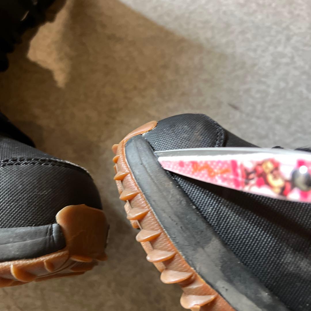 カルロステベス