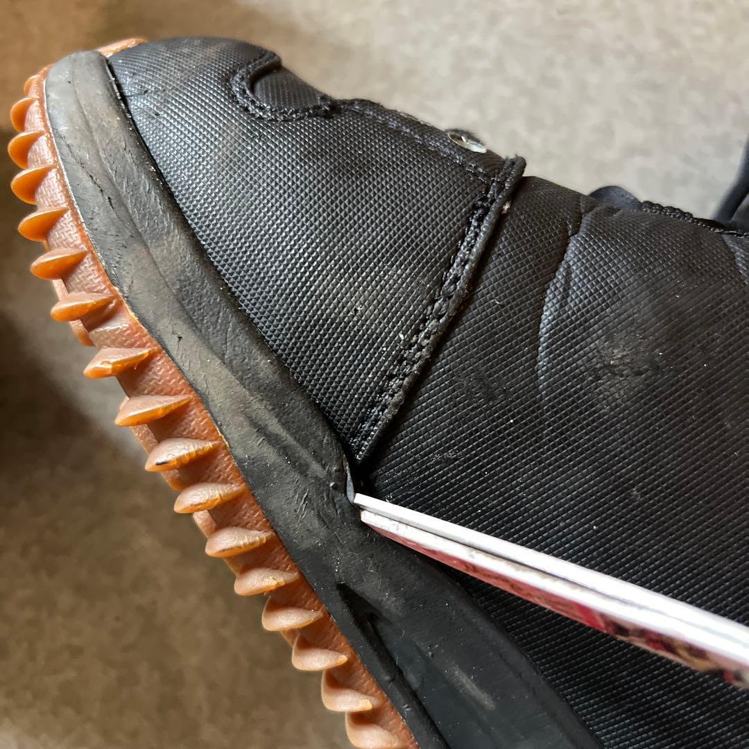 カルロステベス