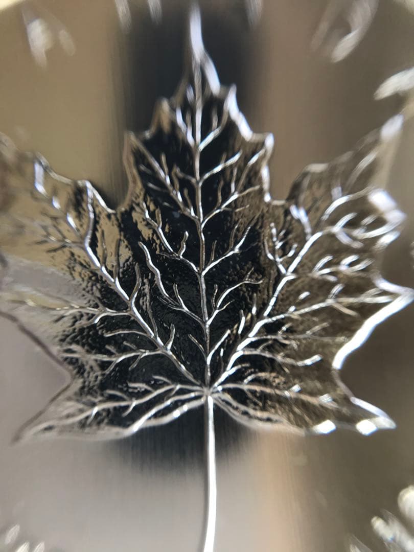 カナダ メープルリーフ 1オンス 銀貨 5ドル