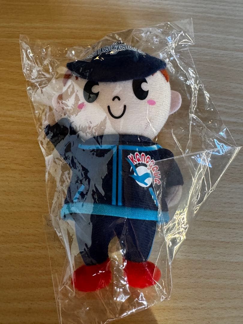 国民体育大会　国体ジャージ　神奈川　Lサイズセット