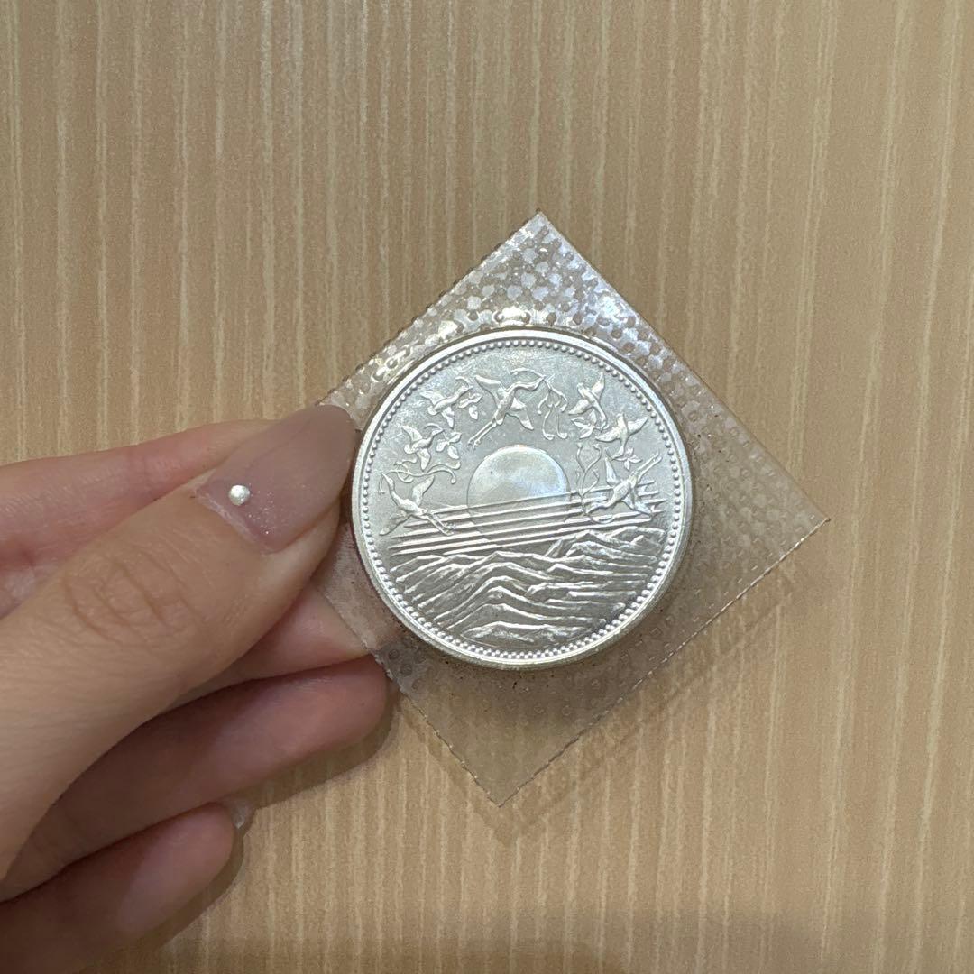 コスモス