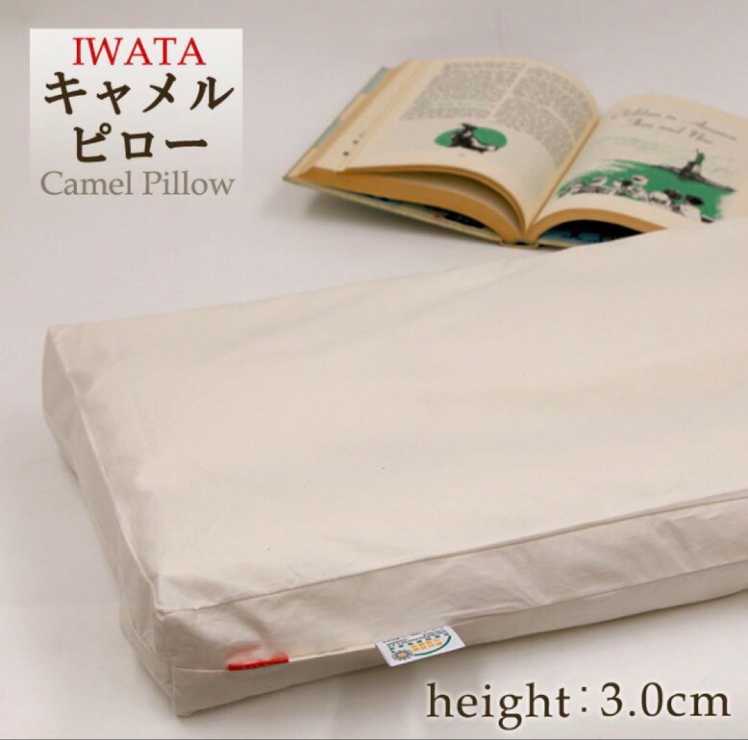 イワタ キャメルピロー 枕 ふつう 3cm 国産