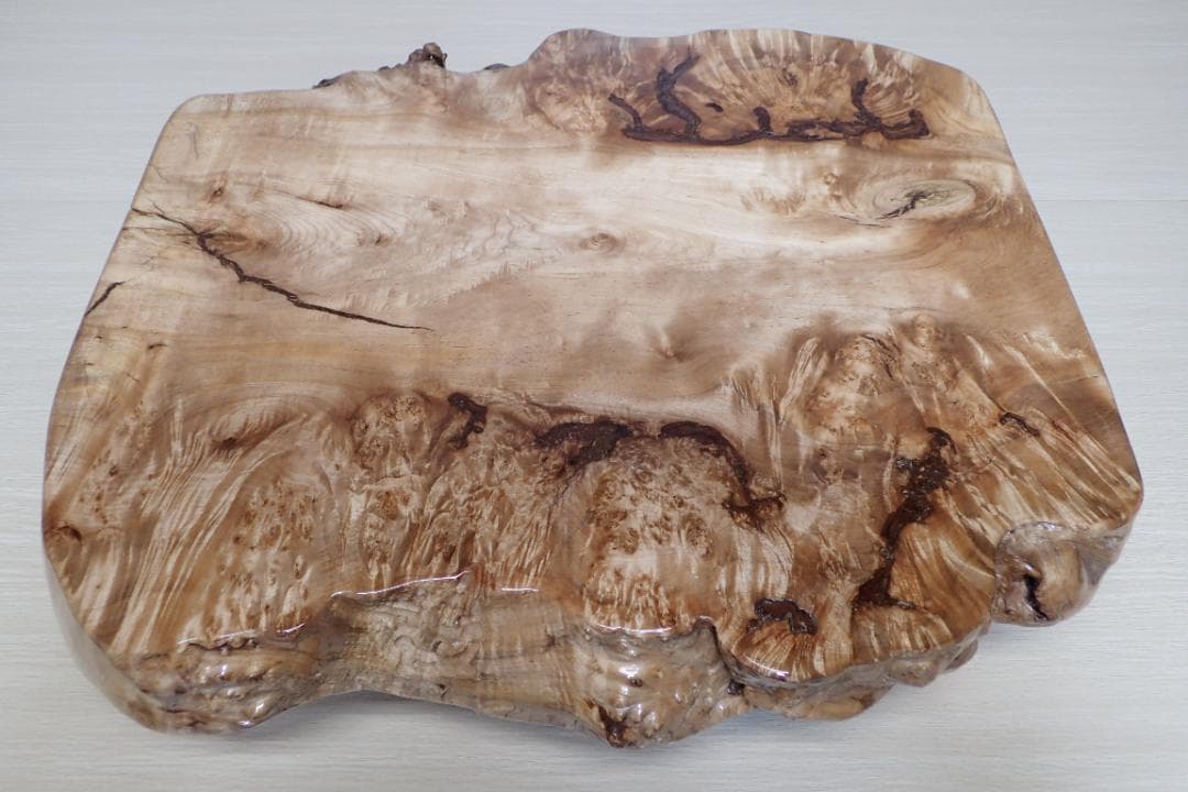 超希少 一点品 天然木 最高級 欅 ケヤキ 切り株 輪切り ローテーブル 座卓