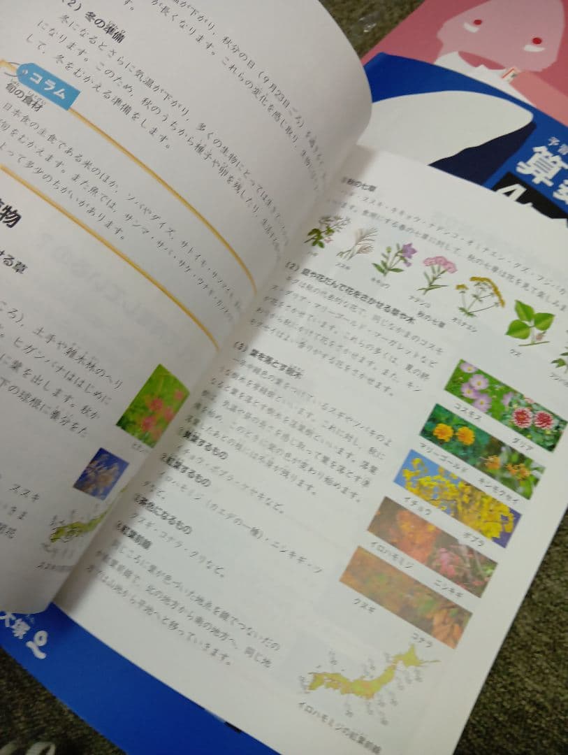 状態良　書き込み解答ほぼ無　四谷大塚4年　国算理社/上下　中古2022年使用
