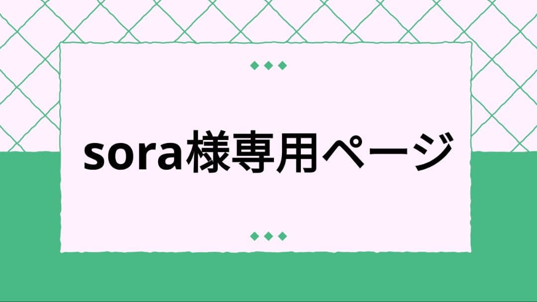レッグウェア ARMOR LEG HARNESS (BLACK)