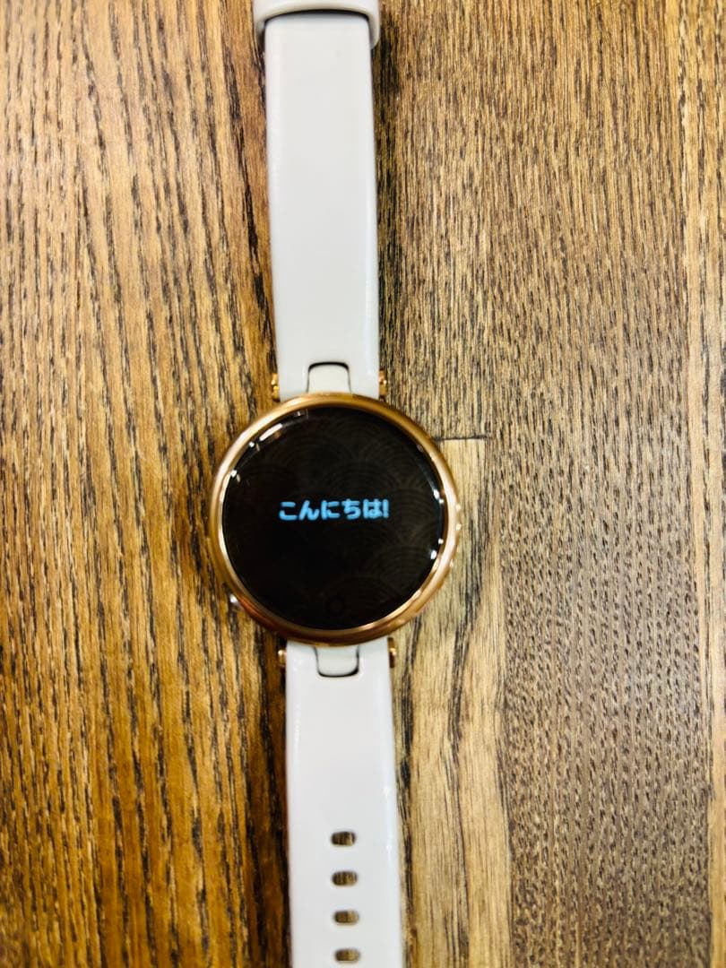 GARMIN Lilyデジタル腕時計
