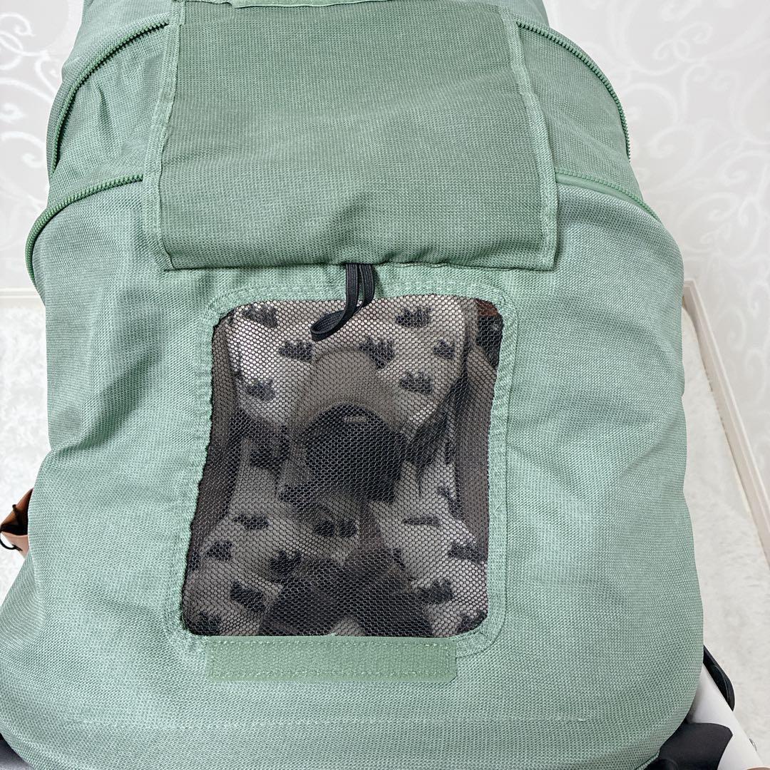 【最上級モデル】AIRBUGGY エアバギー ココプレミア フロムバース