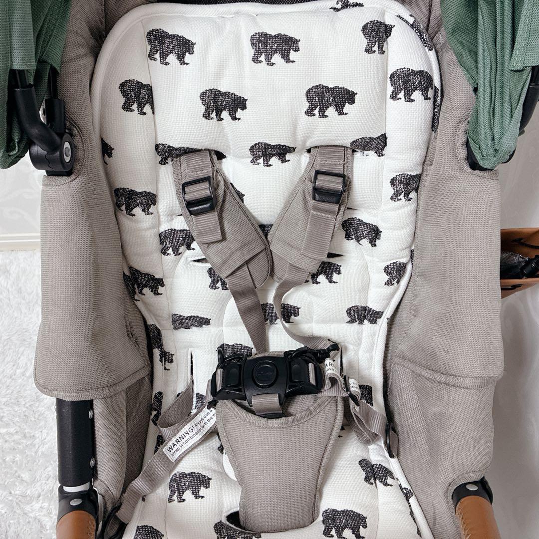 【最上級モデル】AIRBUGGY エアバギー ココプレミア フロムバース