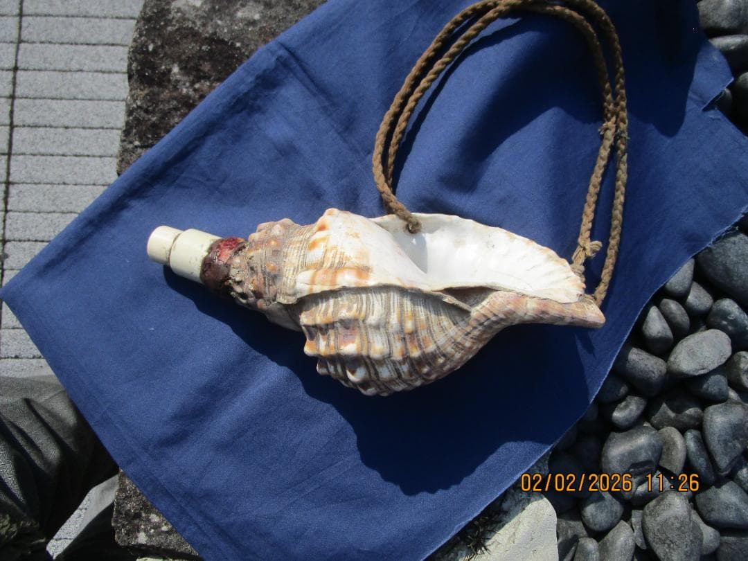 法螺貝　ホラ貝　紐付き　山伏必需品　1個