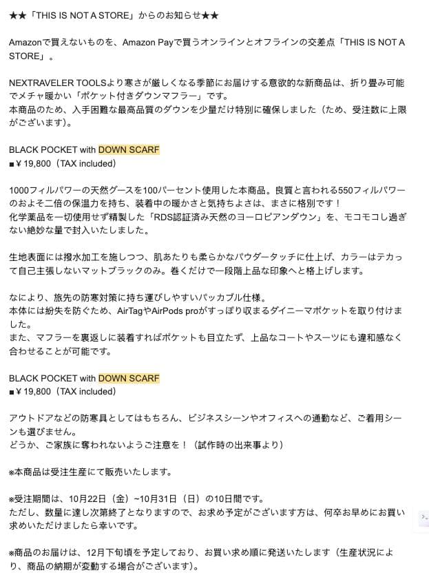 ポケット付きダウンマフラー nextraveler 高城剛 down scarf