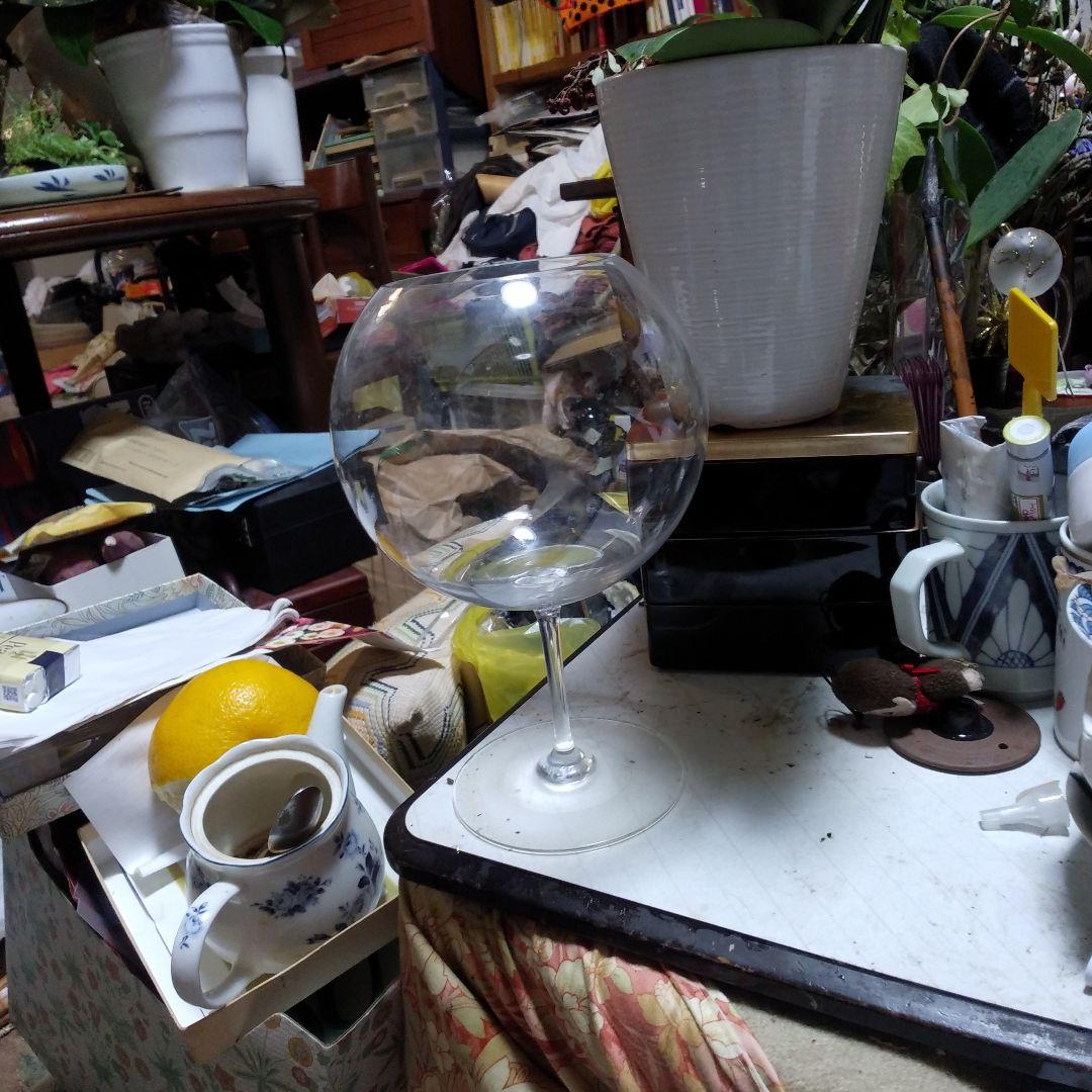 食器 Bacara  Testing Glass