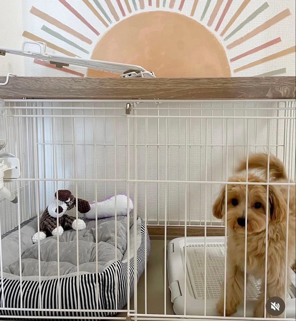 アイリスオーヤマ　ゲージ