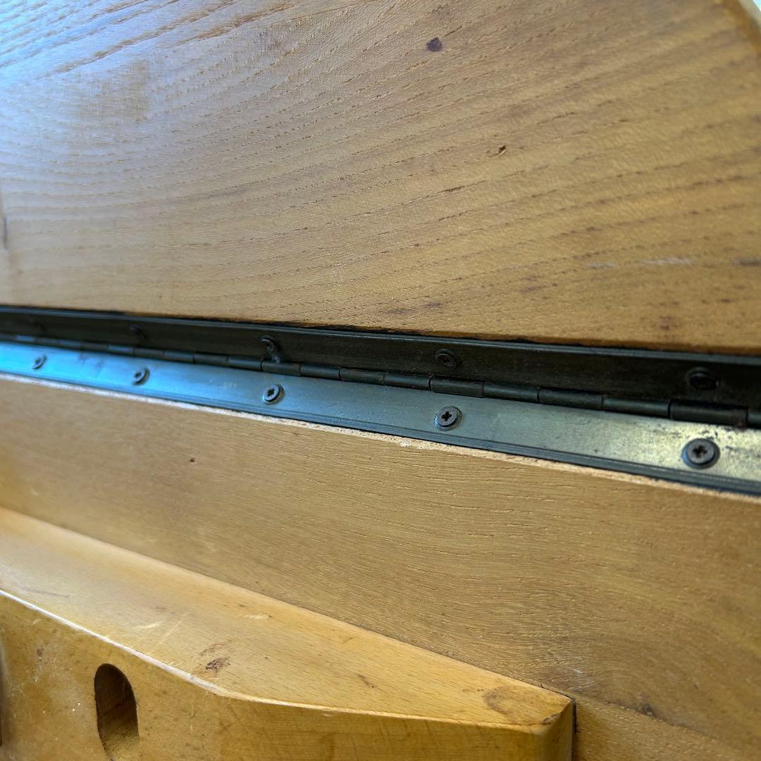 【Ryuji Maemichi】アーコール ドロップリーフ