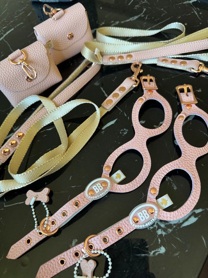 バディベルト　パピー　極小　bb ハーネス・リード6点セット