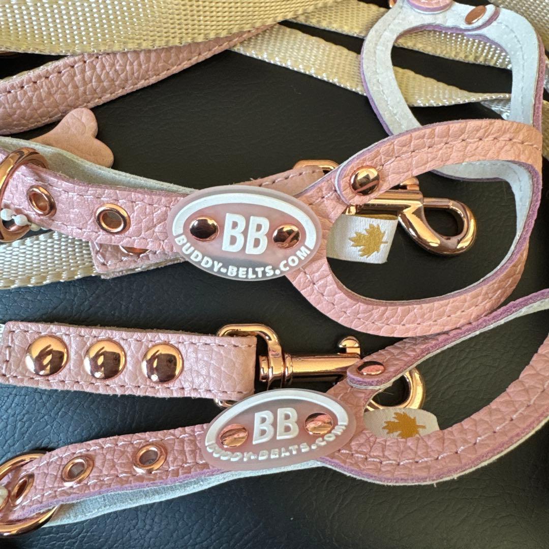 バディベルト　パピー　極小　bb ハーネス・リード6点セット
