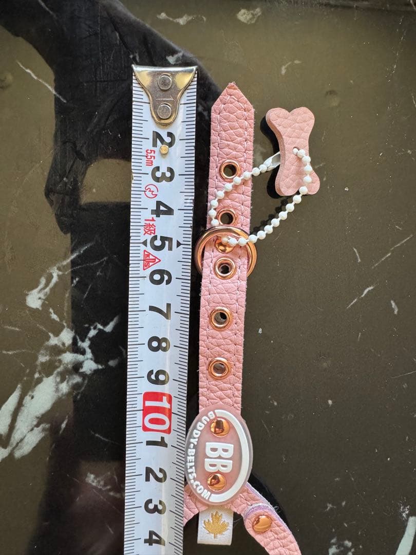 バディベルト　パピー　極小　bb ハーネス・リード6点セット