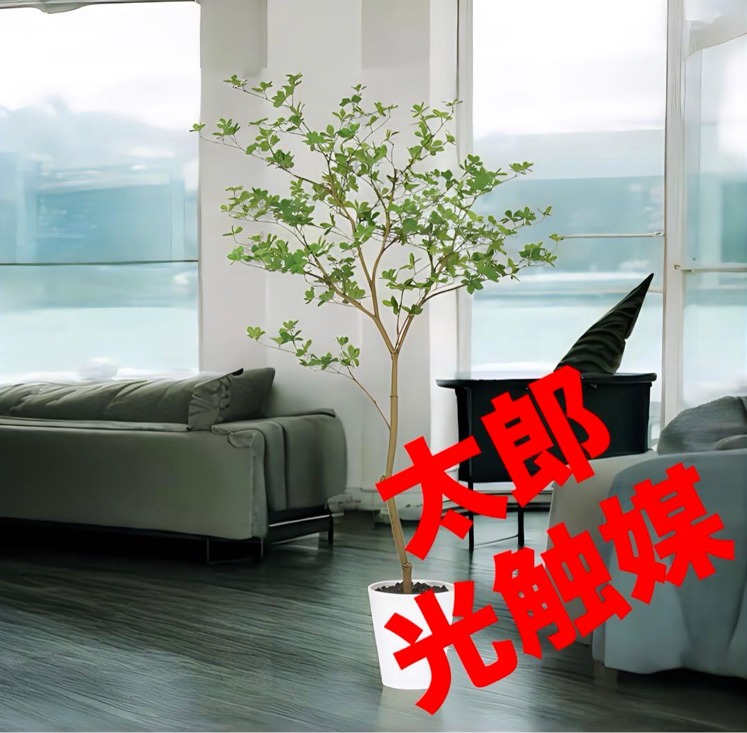 光触媒　人工観葉植物　ウォールグリーン　フェイクグリーン　ドウダンツツジ FST