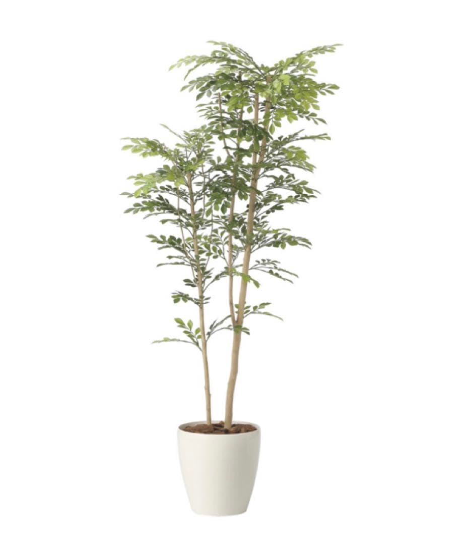 光触媒　人工観葉植物　ウォールグリーン　フェイクグリーン　ツートントネリコ1.6