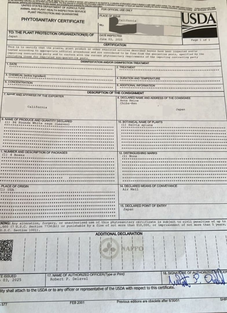 激安価格☆無農薬アウトレットホワイトセージリーフ1KG箱入りお香浄化業務用価額