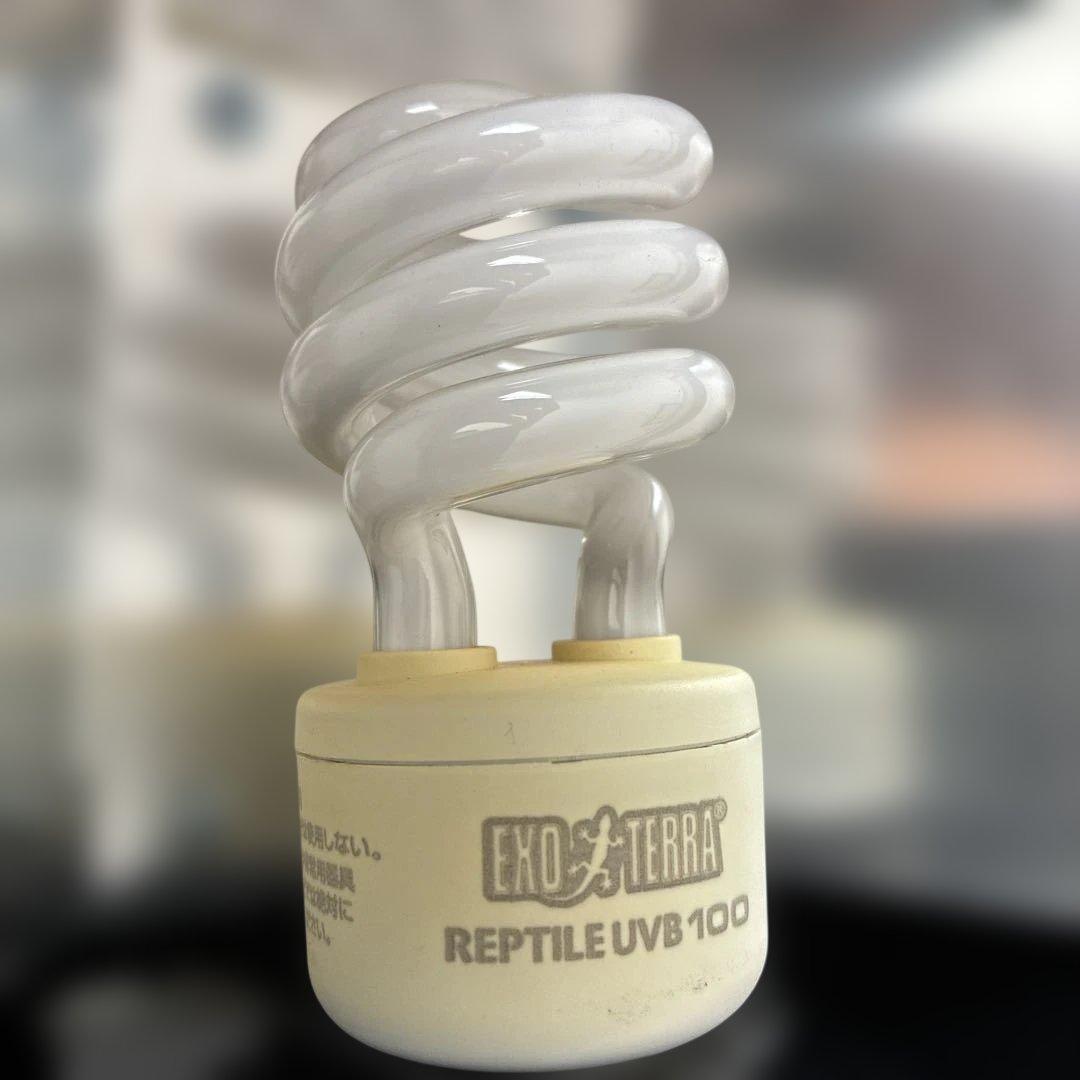 グラステラリウムナノ 爬虫類飼育ケージ 照明セットGEX ジェックス