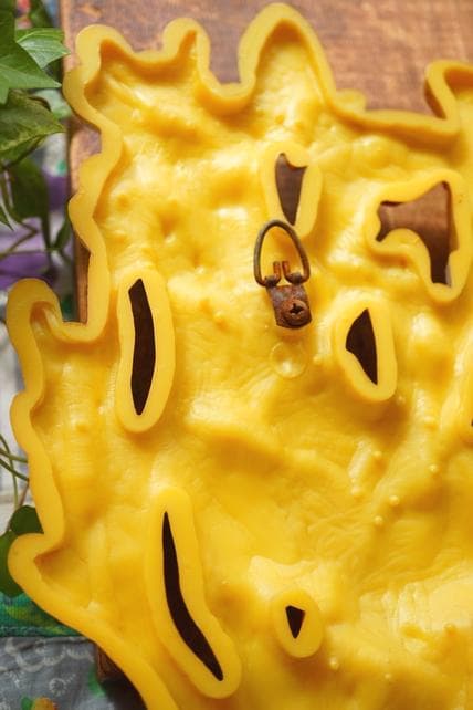 USA 60’s 70's ヴィンテージ 壁掛け マッシュルーム かえる 蝶