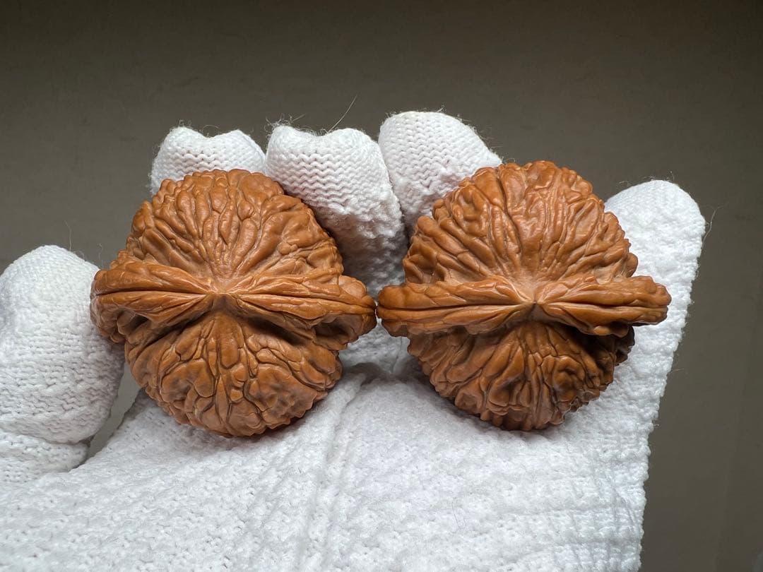 文玩堂：闷尖白獅子頭（47mm）